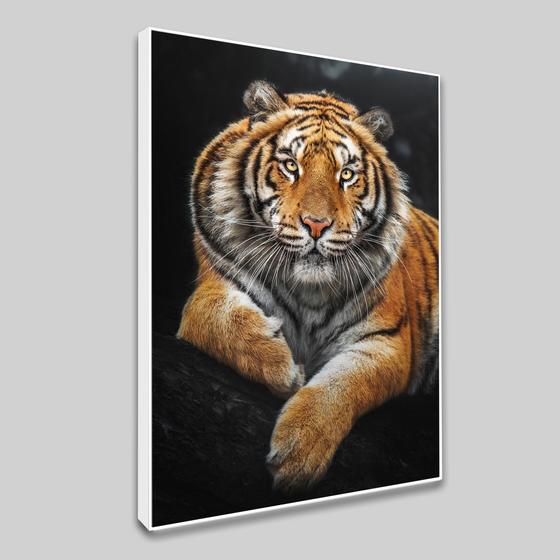 Imagem de Tela Quadro Decorativo com moldura Trigre Elegante