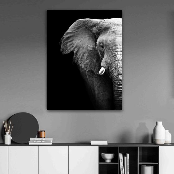 Imagem de Tela Quadro Decorativo p Sala  Elefante Luxo Fundo preto 40x60