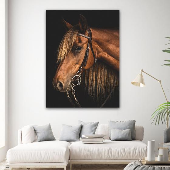 Imagem de Tela Quadro Decorativo Para sala Cavalos Fundo Parareto 60x40 Quadro Quarto Hall Cozinha