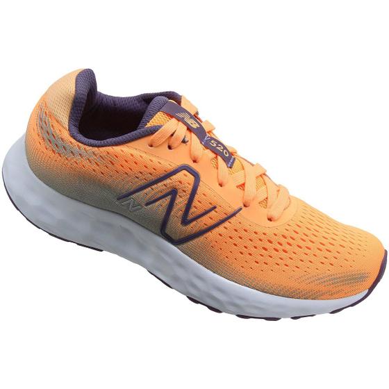 Imagem de Tênis Esportivo New Balance W520 V8 Flexível Feminino 