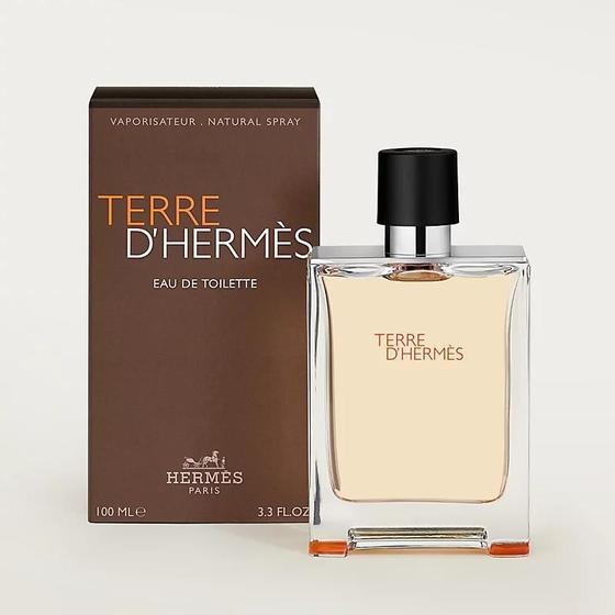 Imagem de Terre D' Hermes Edt 100Ml Perfume Masculino