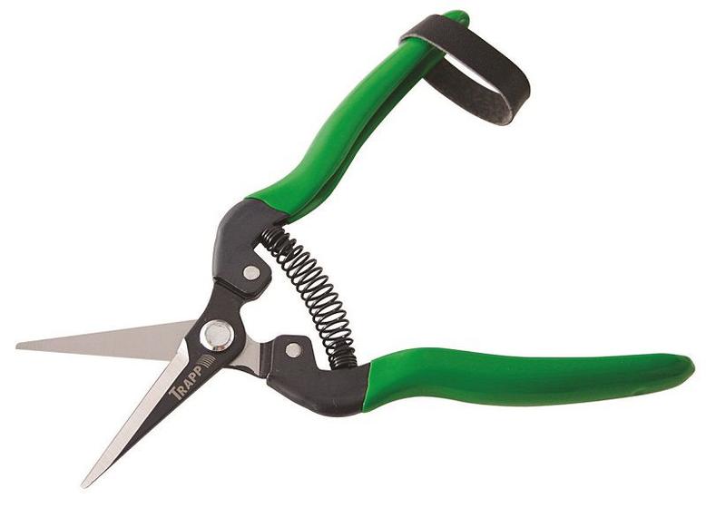 Tesoura Para Colheita/Raleio Frutas e Jardinagem Trapp Ts-803-B 18,5cm Menor preço em Tesoura Para Colheita/Raleio Frutas e Jardinagem Trapp Ts-803-B 18,5cm