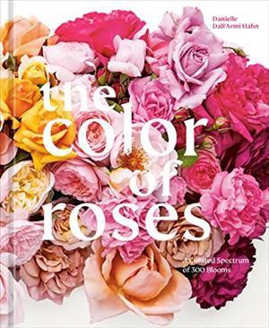 Imagem de The Color of Roses