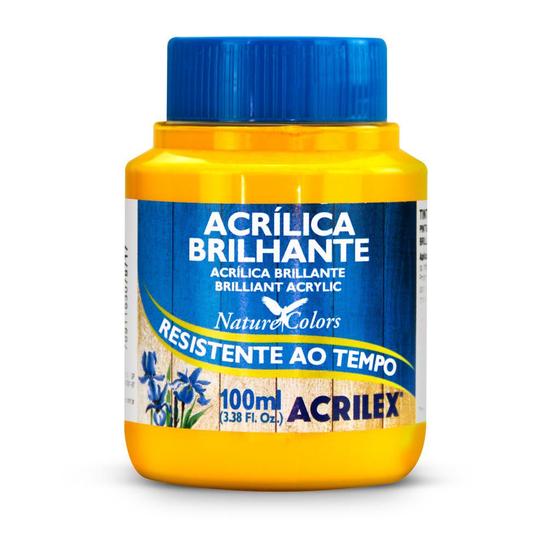 Imagem de Tinta Acrilica Brilhante 100ml Acrilex 03310