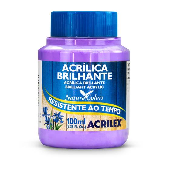 Imagem de Tinta Acrilica Brilhante 100ml Acrilex 03310