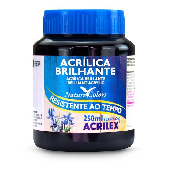 Imagem de Tinta Acrilica Brilhante 250ml Acrilex ref.03325