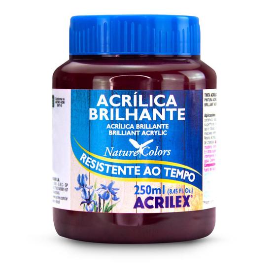 Imagem de Tinta Acrilica Brilhante 250ml Acrilex ref.03325