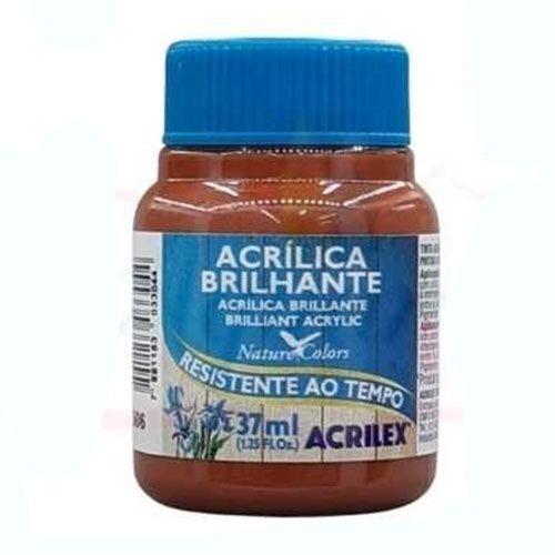 Imagem de Tinta Acrílica Brilhante Acrilex Cerâmica 37ML