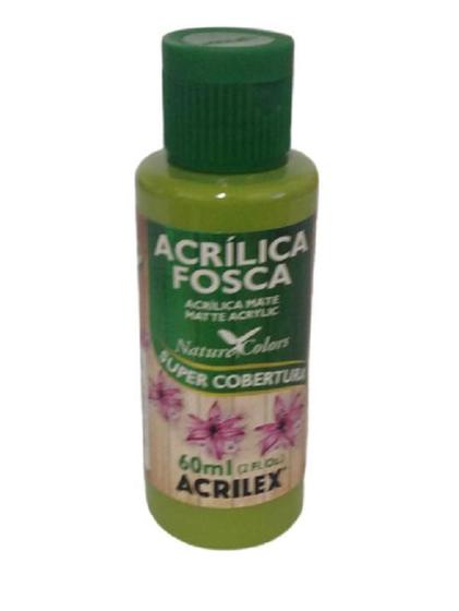 Imagem de Tinta Acrílica Fosca Verde Pistache - 570 - Acrilex - 60Ml