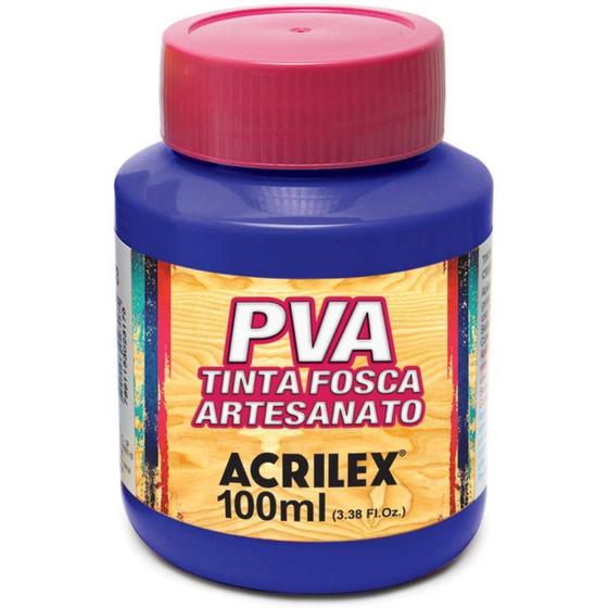 Imagem de Tinta PVA 100ML Violeta PCT com 06