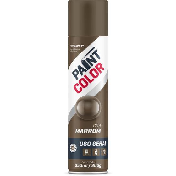 Imagem de Tinta SPRAY Paintcolor 350ML Marrom 200G