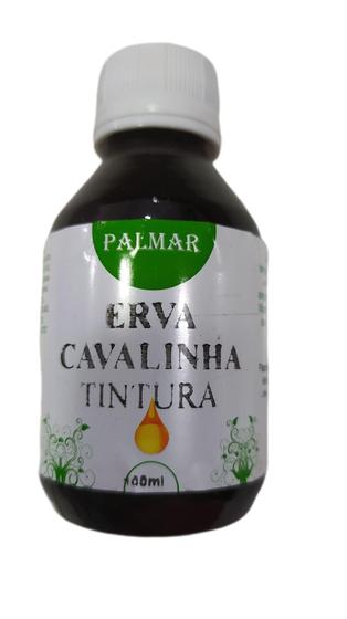 Imagem de Tintura de Cavalinha 100ml Palmar