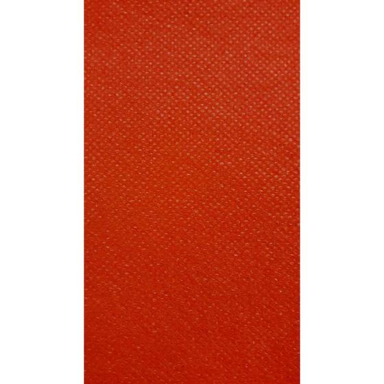 Imagem de TNT 1,40M 40G Vermelho Rolo com 50 Metros