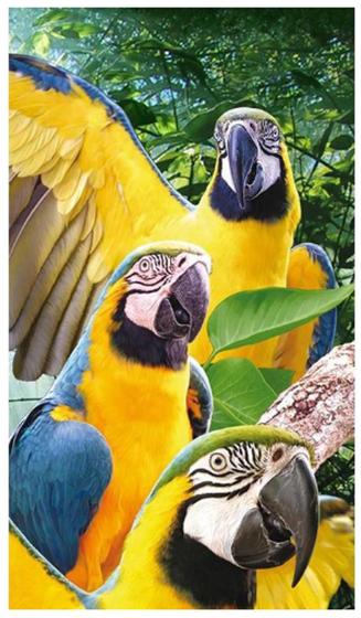 Imagem de Toalha Praia Aveludada 76x152cm multi macaws