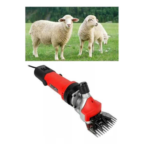 Tosquiadeira Máquina De Tosar Ovelhas C/Maleta Profissional - Knakasaki ...