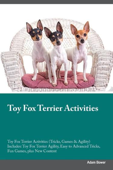 toy fox terrier tricks