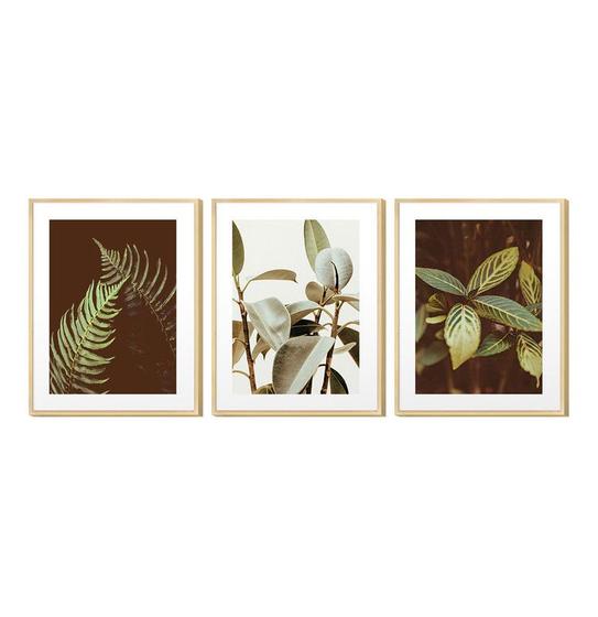 Imagem de Trio de Quadros Decorativos com Folhagens Natureza