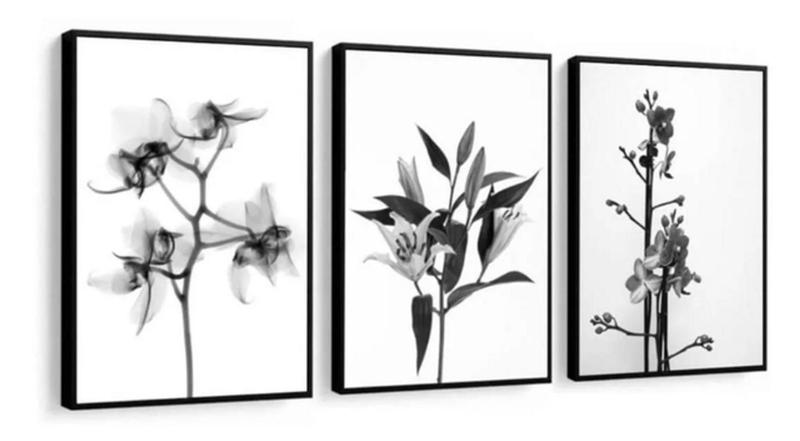 Imagem de Trio De Quadros Flores Minimalista Preto E Branco Luxo"