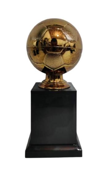 Imagem de Trofeu Premiação Individual Original Campeão