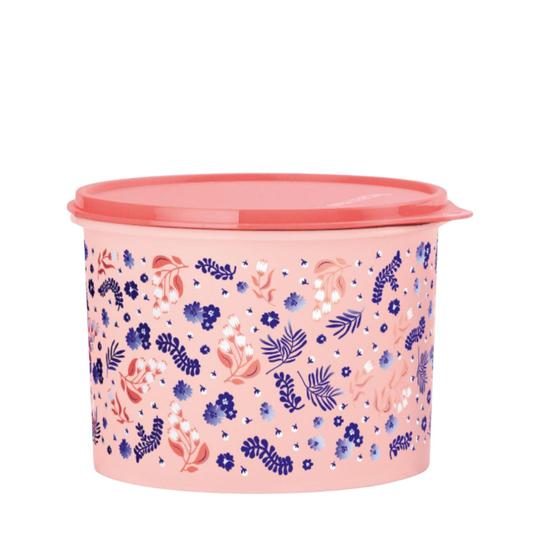 Imagem de Tupperware Caixa 2,4L