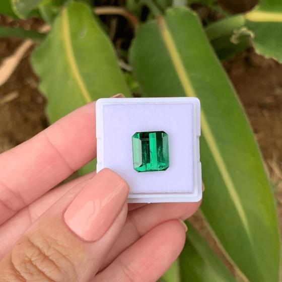 Imagem de Turmalina Verde 5,12ct