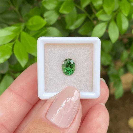 Imagem de Turmalina Verde Bandeira Oval 1,54ct