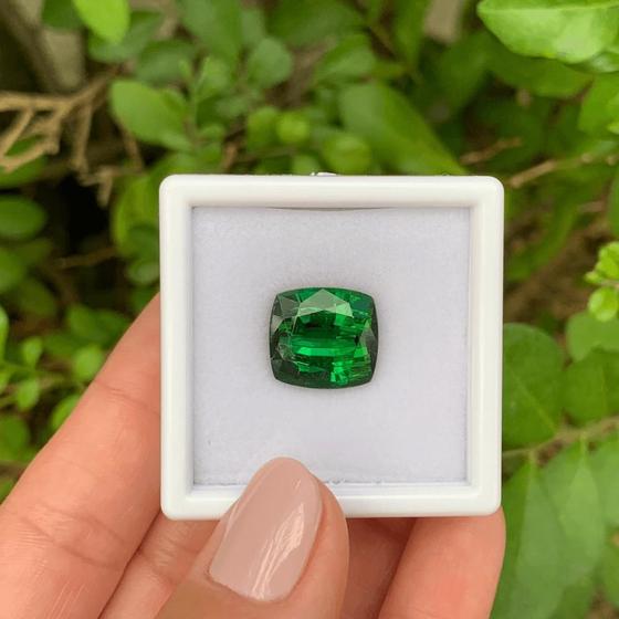 Imagem de Turmalina Verde Cushion 10,83ct