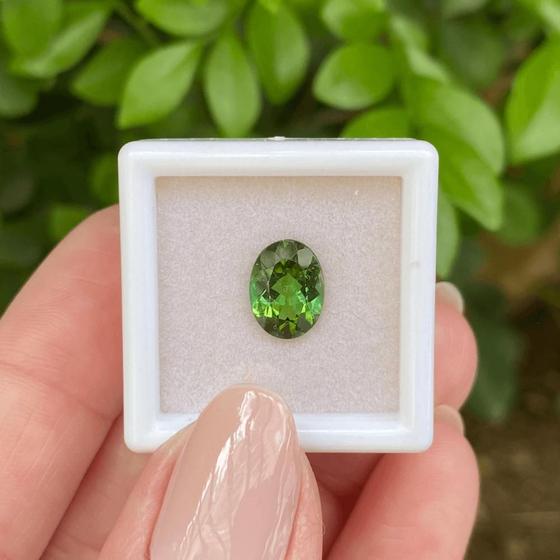 Imagem de Turmalina Verde Oval 1,94ct