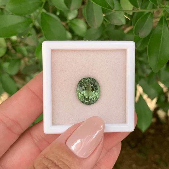 Imagem de Turmalina Verde Oval 8,46ct