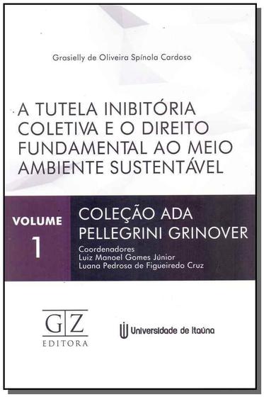 Imagem de Tutela Inibitória Coletiva e o Direito Fundamental ao Meio Ambiente Sustentável, A Sortido