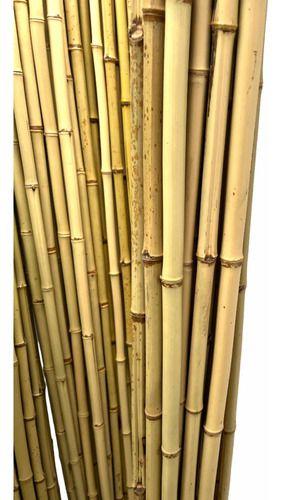 Imagem de Tutor  Bambu Natural - 10 Peças 1 Metro Tratado Para Umidade