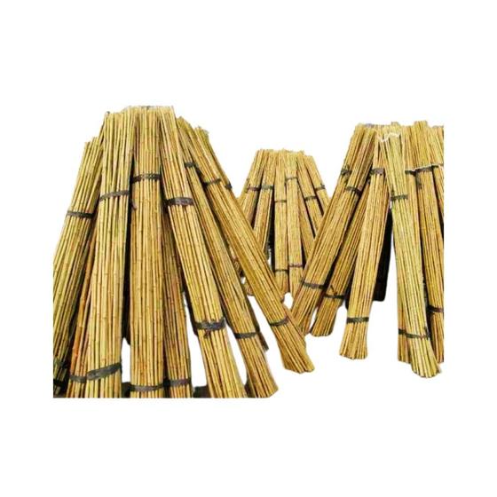 Imagem de Tutores de Bambu para Reflorestamento: 1.4mt - 1Mil