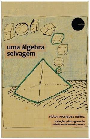 Imagem de Uma álgebra selvagem