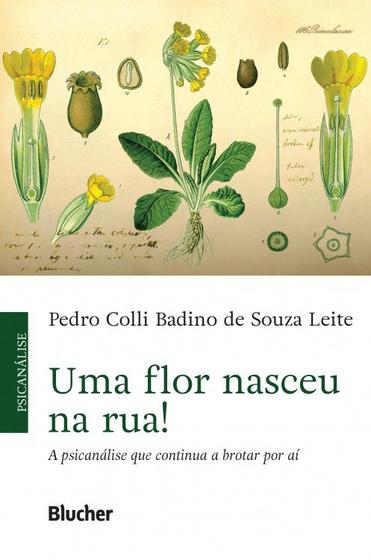 Imagem de Uma flor nasceu na rua  ! - BLUCHER