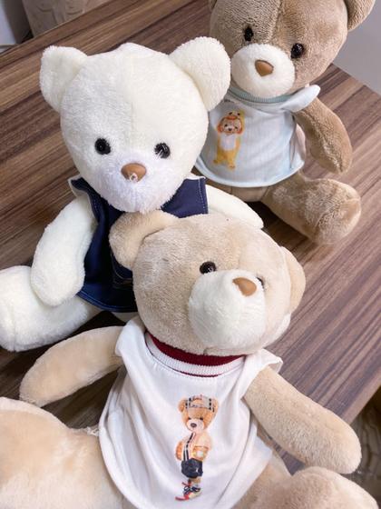 Imagem de Urso Pelúcia com Roupa Pequeno 15cm Yoh Lord