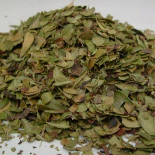 Imagem de Uva Ursi (arctostaphylos Uva-ursi L) 500 G