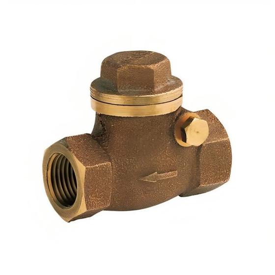 Imagem de Válvula De Retenção Horizontal Com Portinhola DN32 11/4 - Docol