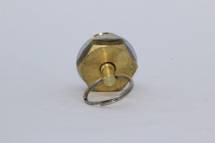 Imagem de Válvula do dreno manual com oring m22