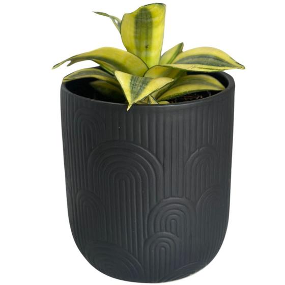 Imagem de Vaso Cerâmica Para Planta Decoração Jardim Redondo 14cm 