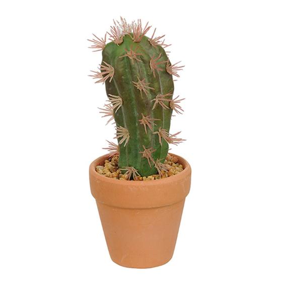 Imagem de Vaso com Cacto San Pedro Verde com Espinho Rosado 14x6 cm - D'Rossi