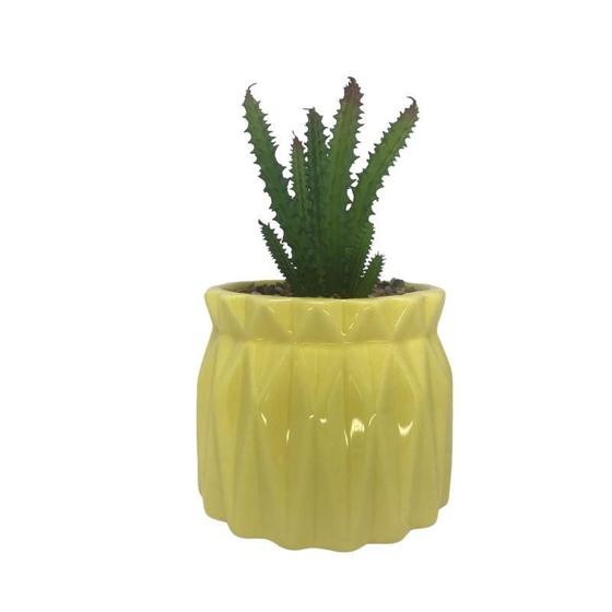 Imagem de Vaso Com Suculenta Em Dolomita E Plástico Cor Amarelo 28663