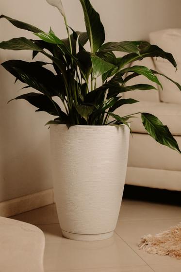 Imagem de Vaso Cone Texturizado em Polietileno Escovado Planta Flor