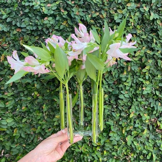 Imagem de Vaso de Flores de Vidro com 5 pontas - P