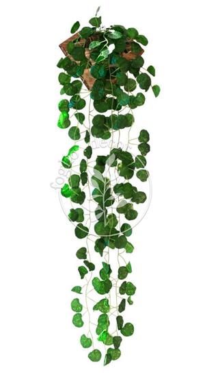 Vaso de Parede com Planta Artificial Inclusa - foglio.decor - Vasos para  Plantas - Magazine Luiza