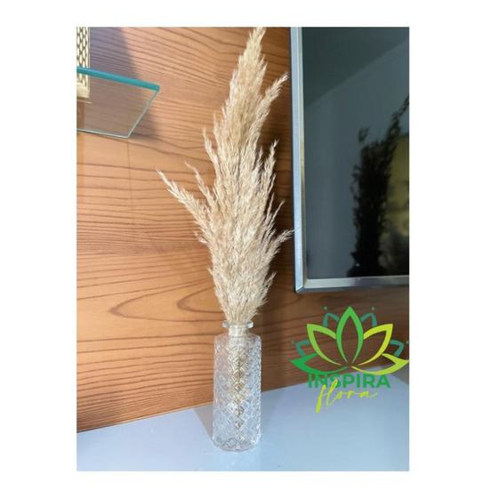 Imagem de Vaso De Vidro Importado C/pampas 13cm Decoração Sala Lembrancinha