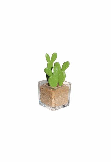 Imagem de Vaso de Vidro Quadrado Cachepot com Suculenta