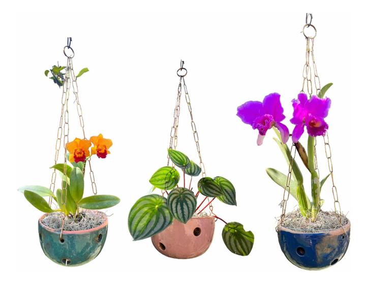 Vaso Decorativo Bolinha Para Pendurar Vaso Suspenso Com Corrente - DoceL@r Imagem de Vaso Decorativo Bolinha Para Pendurar Vaso Suspenso Com Corrente