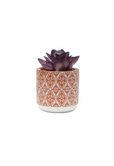 Imagem de Vaso em Cimento com Suculenta Cachepot Vasinho 8cm