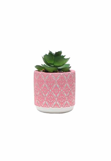 Imagem de Vaso em Cimento com Suculenta Cachepot Vasinho 8cm