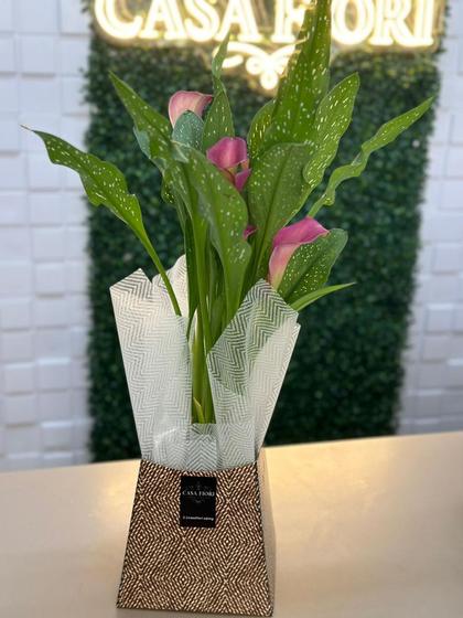 Imagem de Vaso flor ornamental plantado- callas